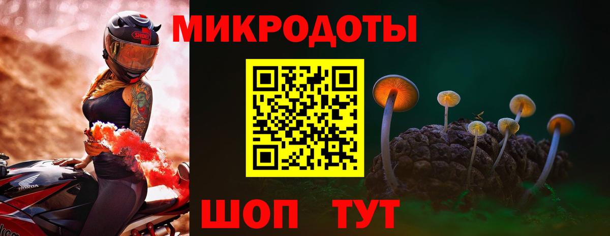 Псилоцибиновые грибы Cubensis  Псилоцибиновые грибы прущие грибы  Заринск  Вход с VPN 