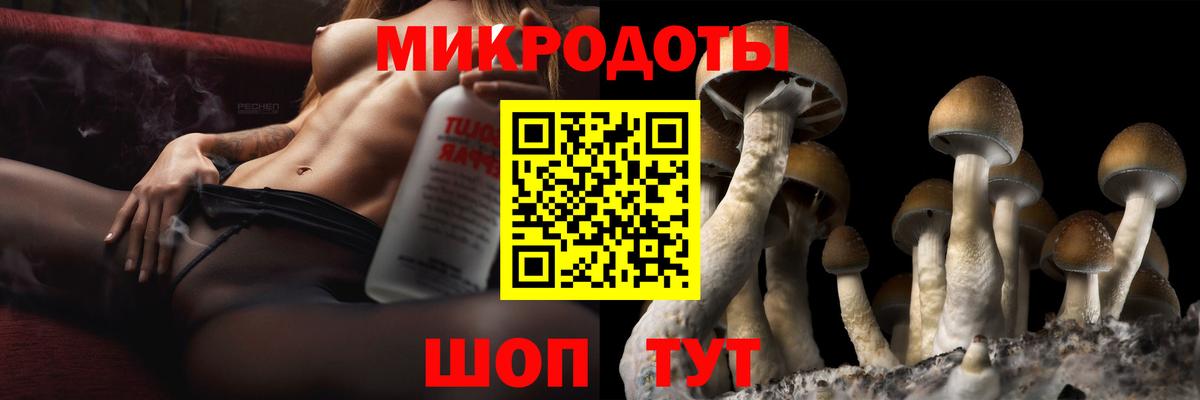 Псилоцибиновые грибы Cubensis Заринск